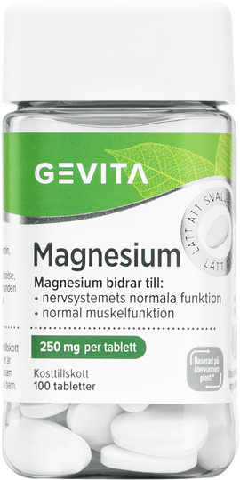 Gevita Magnesium 100 st