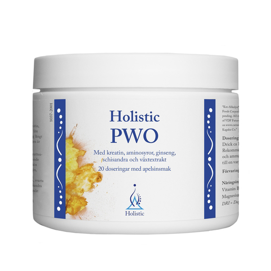 Holistic PWO Apelsinsmak 240 g