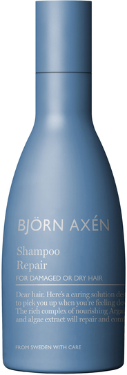 Björn Axén Repair Schampo 250 ml