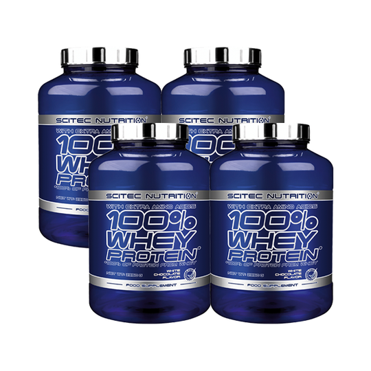 4 x 100% Whey Protein, 2350 g, BIG BUY